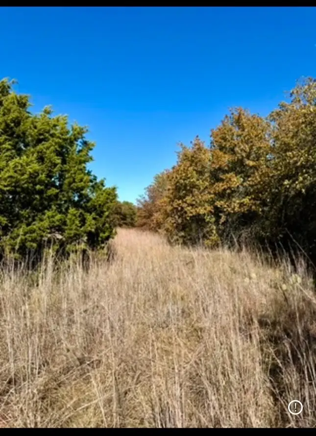 TBD E Fm 2210 Highway, Perrin, TX 76486 - #1