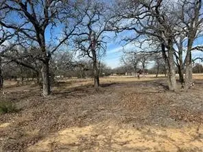 TBD Cr 2030 Lot 8, Glen Rose, TX 76043 - Image #1