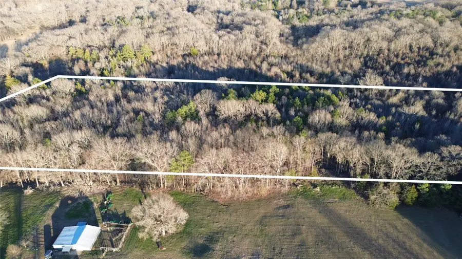 1628 Cr 3375, Cookville, TX 75558 - #2