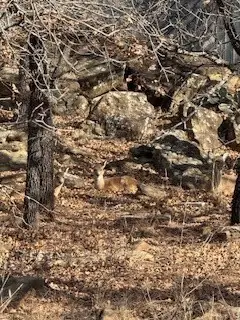 138 Cortez Drive, Nocona, TX 76255 - #2