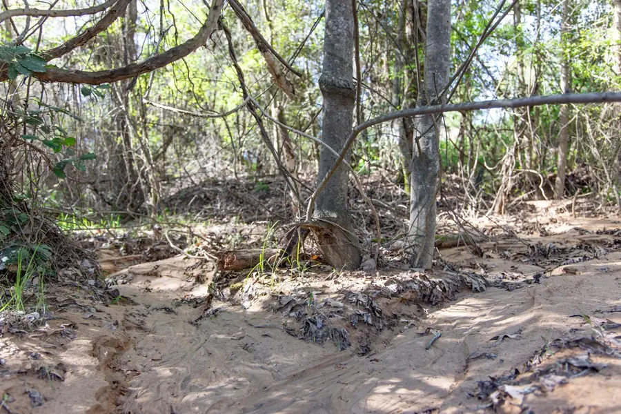 TBD Ridgeline Loop #Lot 93, Winona, TX 75792 - Image #2