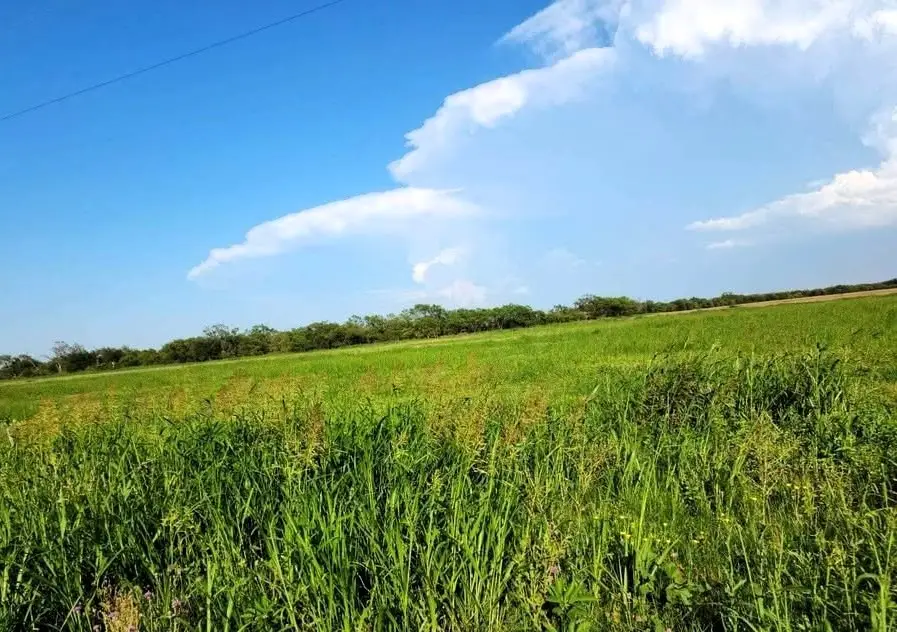 TBD Fm Rd 57 Road, Sylvester, TX 79560 - #1