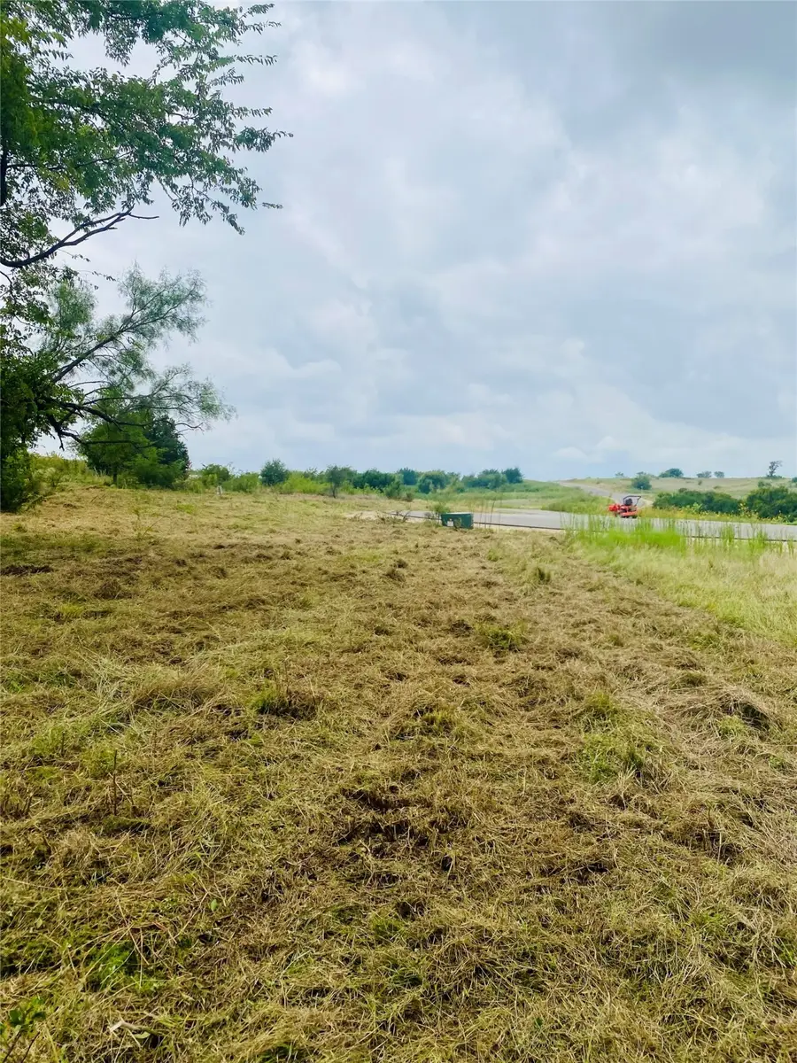 3141 Outlaw Drive, Cresson, TX 76035 - Image #3