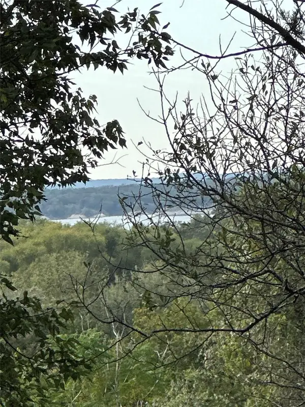 21076 Trailwood Court, Whitney, TX 76692