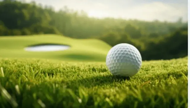 21077 Trailwood Court, Whitney, TX 76692 - #3