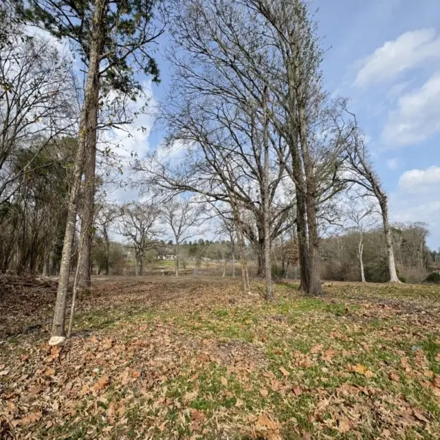 1002 N Hamlett Street, Athens, TX 75751 - Image #2