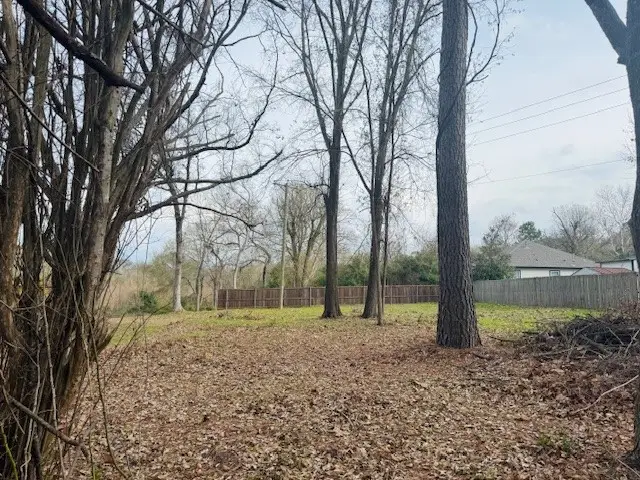 1002 N Hamlett Street, Athens, TX 75751 - Image #3