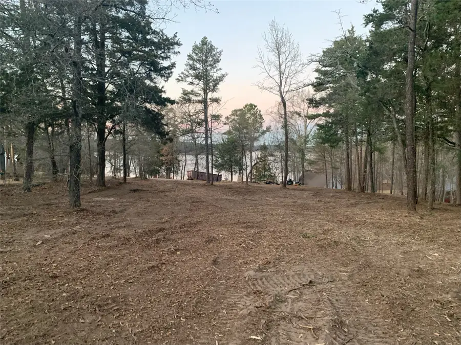 TBD Pedernales Street, Scroggins, TX 75480 - #3