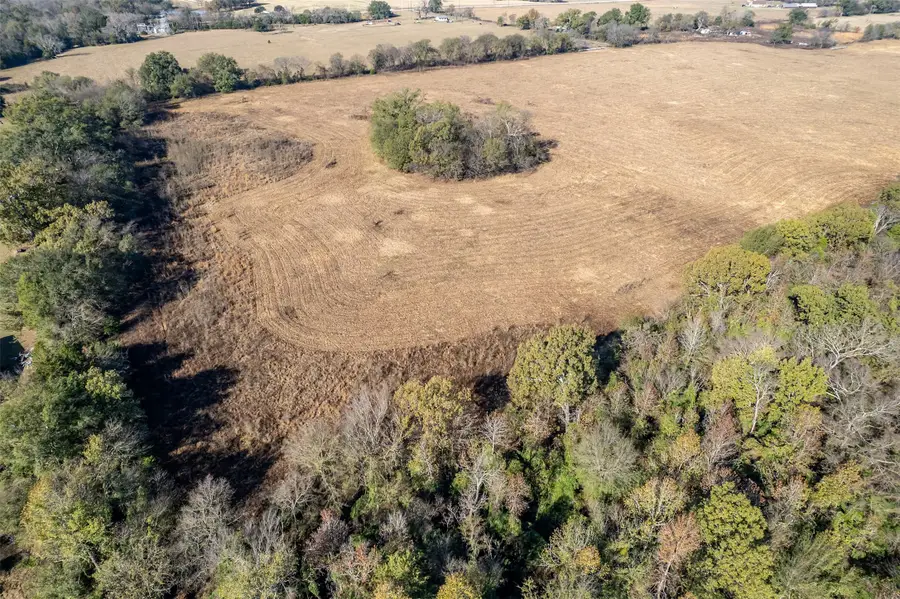 320 County Road 2160, Emory, TX 75440 - #3