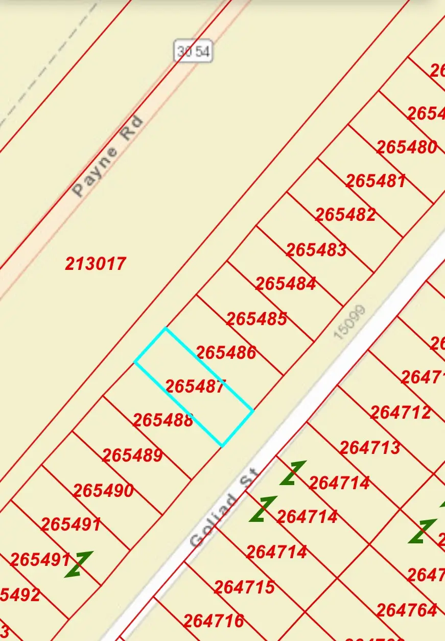 0 Goliad Street, Log Cabin, TX 75148 - Image #2