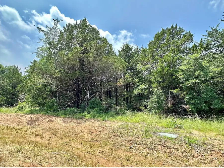 143 Whispering Pine Drive, Gordonville, TX 76245 - Image #3