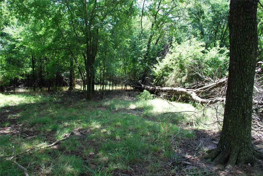 15013 Golf Drive, Whitney, TX 76692 - #3