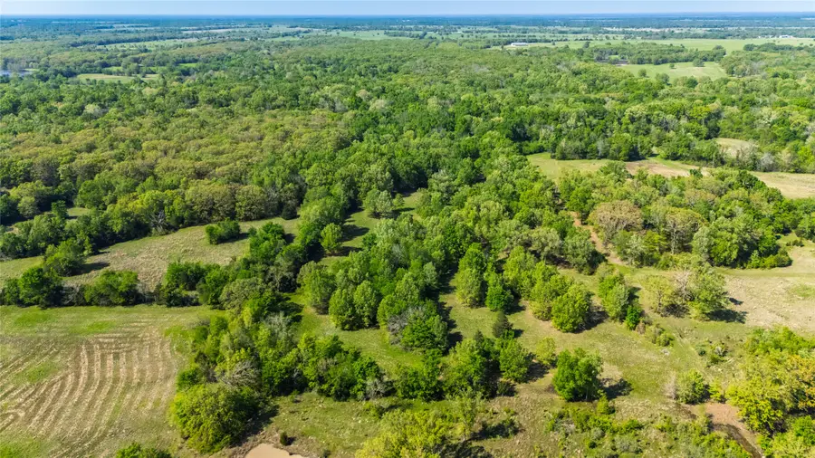 interior Fm-900, Sulphur Bluff, TX 75481 - Image #3