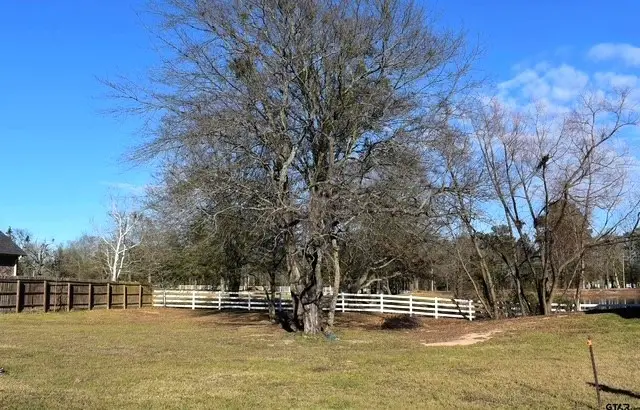 2824 Kingfisher Ln, Mount Pleasant, TX 75455 - Image #2