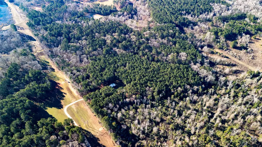 1913 Cr 779 (off Cr On Private Road), Nacogdoches, TX 75964 - #3