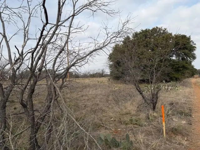 4643 County Road 296 #Tract 1, Breckenridge, TX 76424 - #3