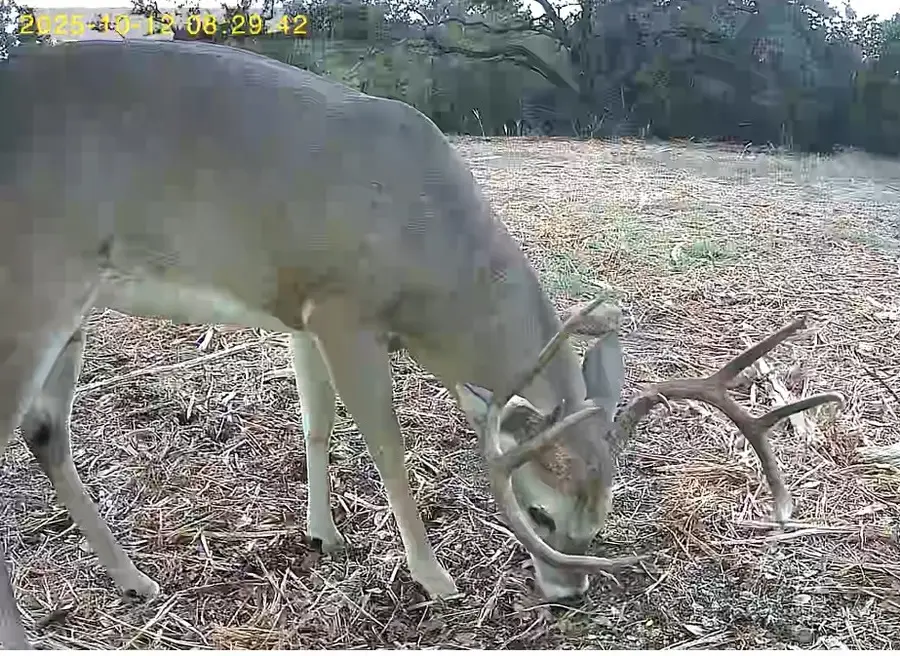 TBD Fm 708c, Clifton, TX 76634 - #2