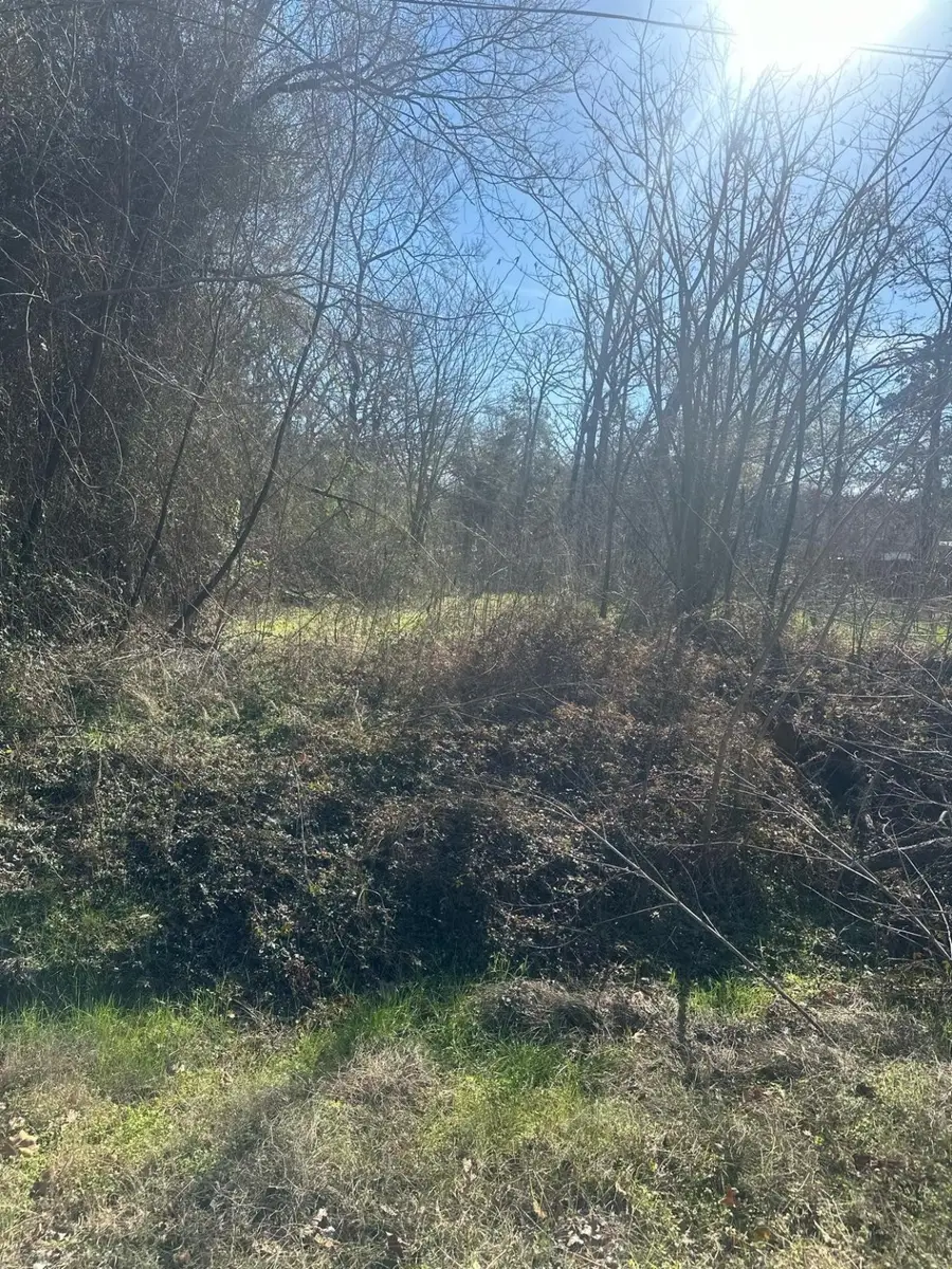 6147 Indian Harbor Drive, Mabank, TX 75156 - Image #3