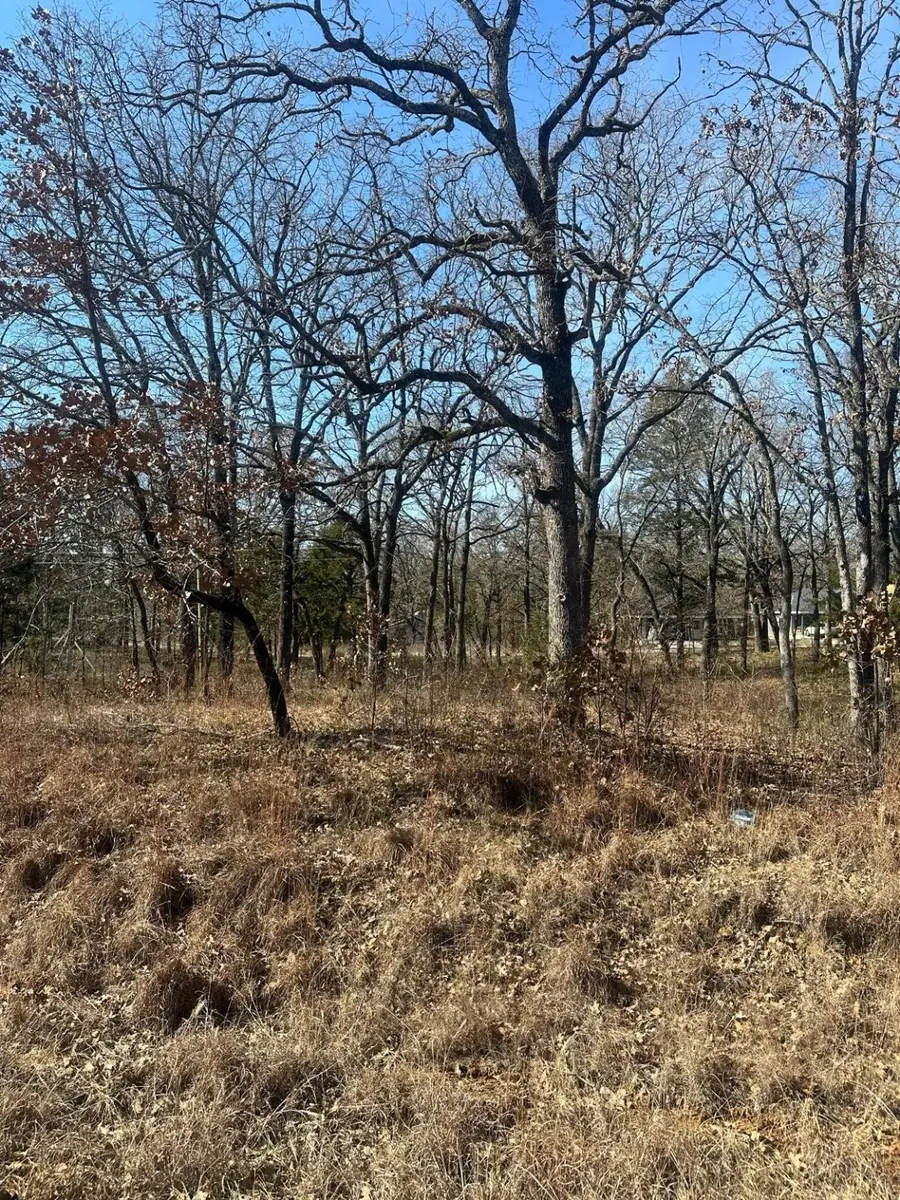 6149 Indian Harbor Drive, Mabank, TX 75156 - Image #3