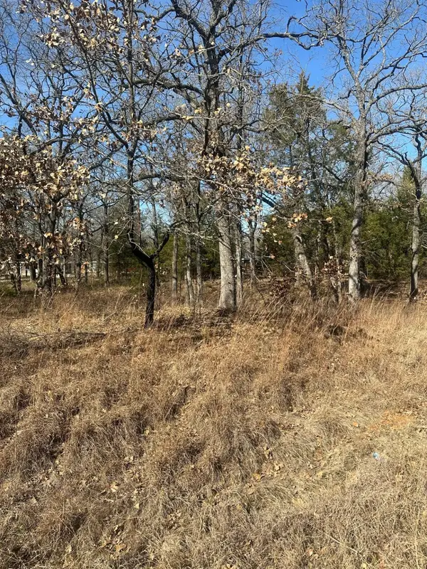 176 Oak Trail, Mabank, TX 75156