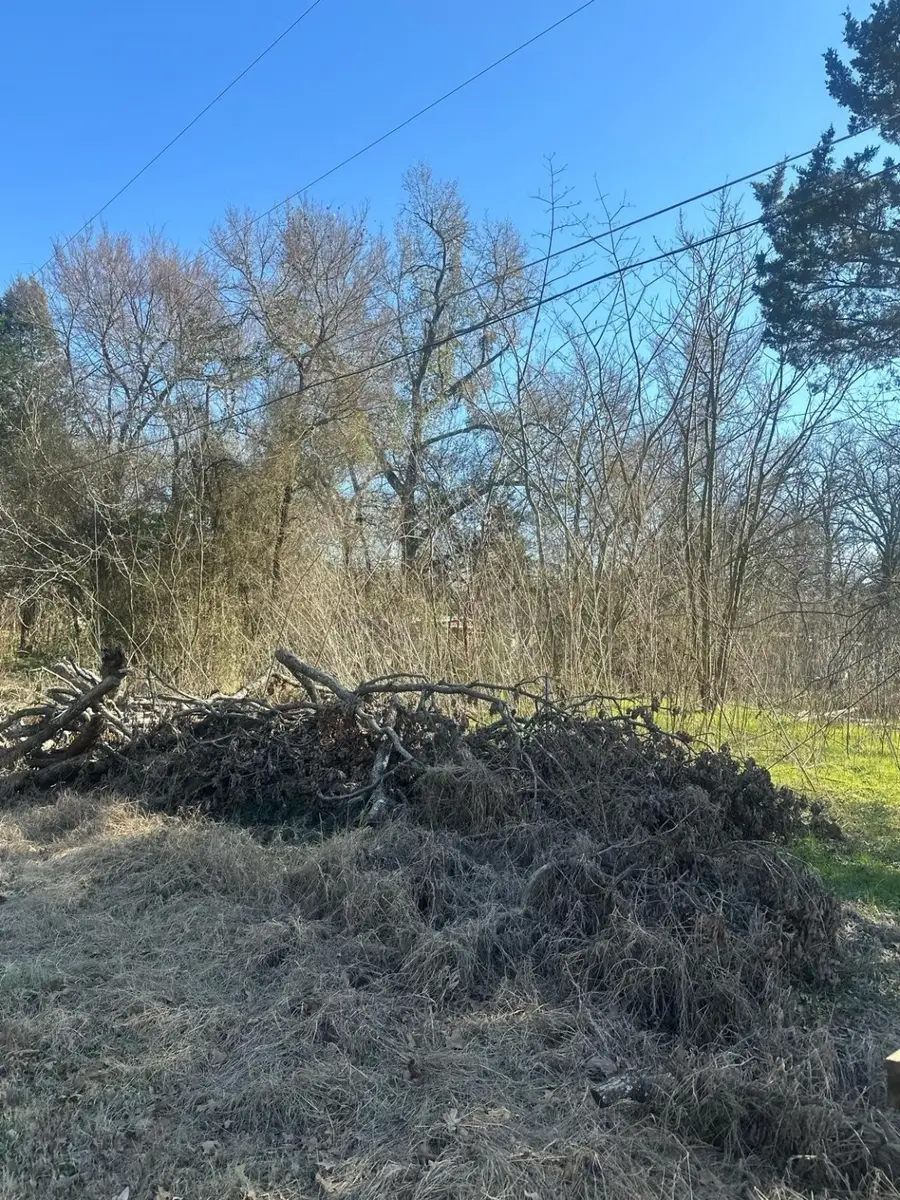 207 S Cherokee Shores Drive, Mabank, TX 75156 - Image #2