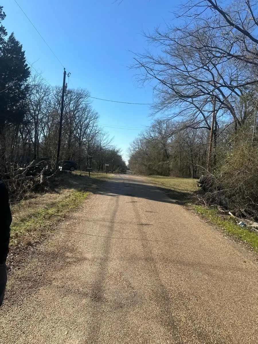 207 S Cherokee Shores Drive, Mabank, TX 75156 - Image #3