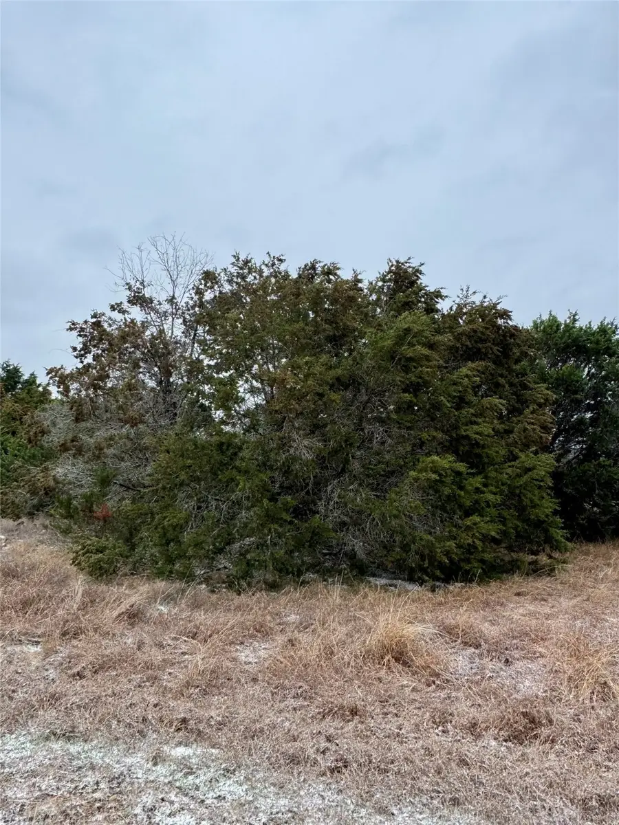 11101 Juniper Drive, Whitney, TX 76692 - #3