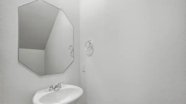 221 Tall Cedar Way, Princeton, TX 75407