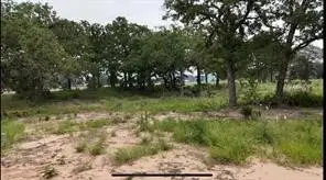 TBD Cr 2030 Lot 9, Glen Rose, TX 76043 - Image #2