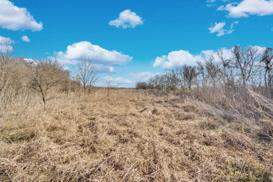 TBD White Rock Road, Italy, TX 76651 - #3