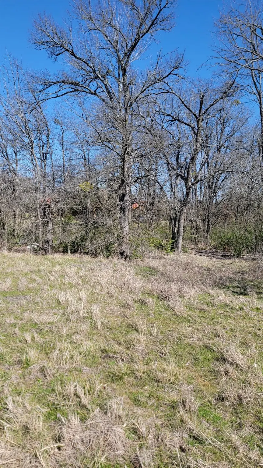 655 Ewing Road, Ellis, TX 75125 - #3