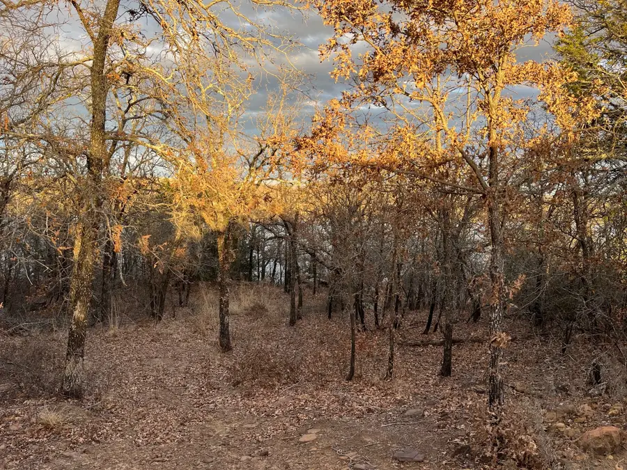 0 Scenic Hill Drive, Bowie, TX 76230 - Image #2