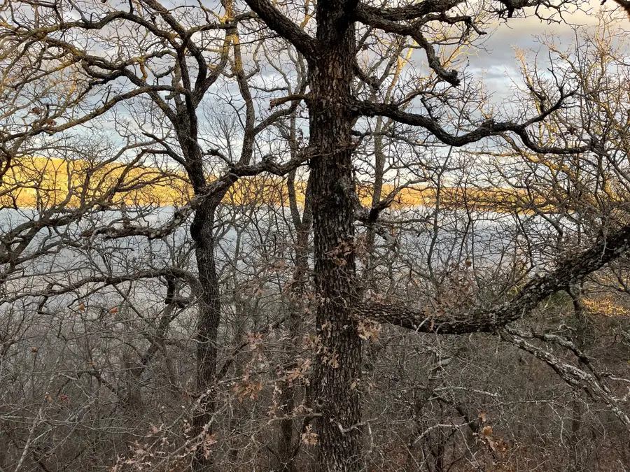 0 Scenic Hill Drive, Bowie, TX 76230 - Image #3