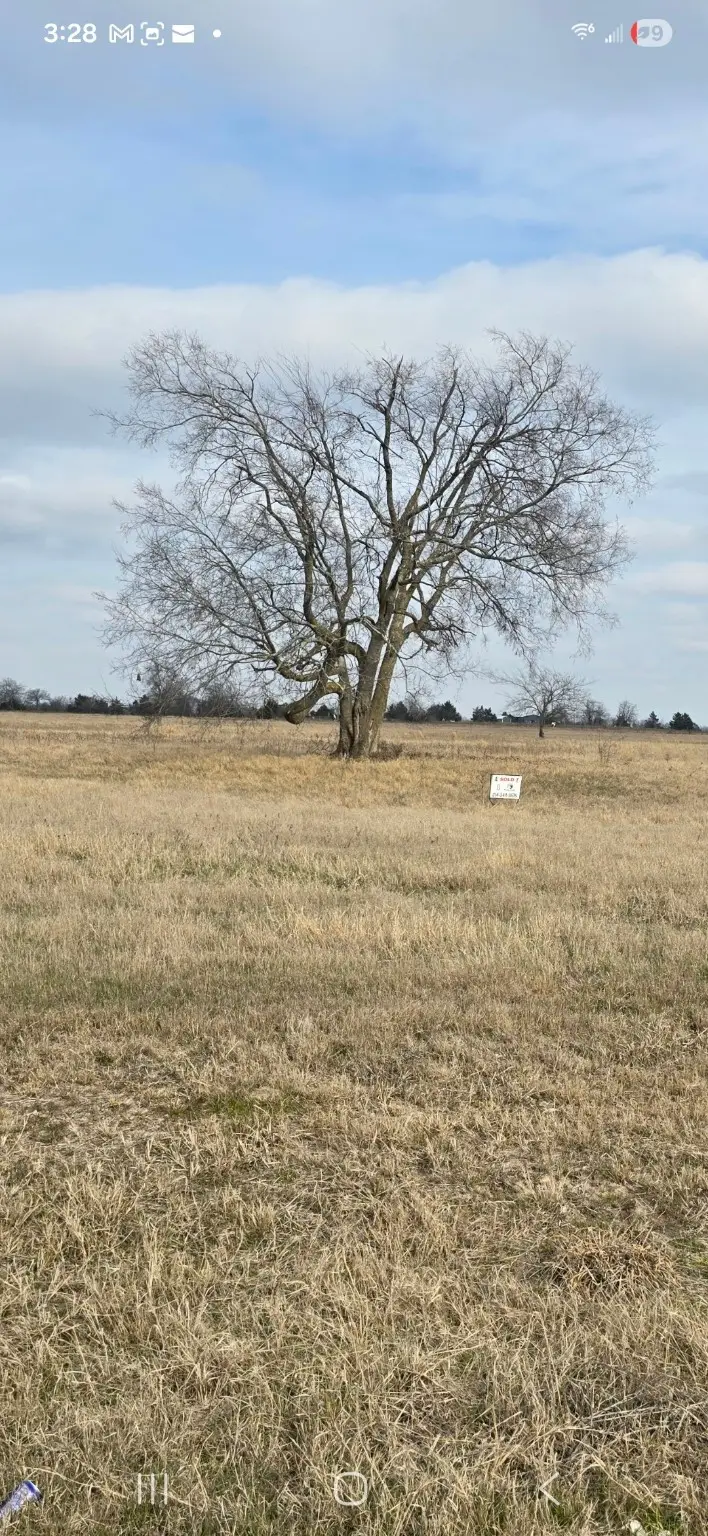 lot 8 County Road 3512, North Hopkins Sulphur Bluff, TX 75482 - #2