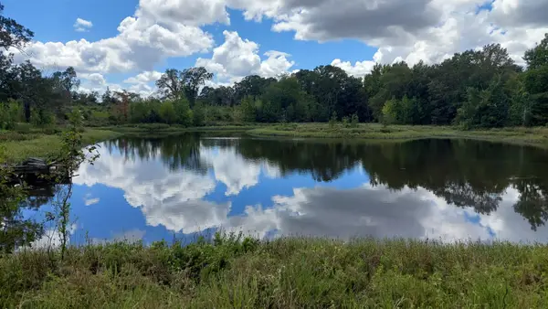 TBD Fm-195, Bagwell, TX 75412