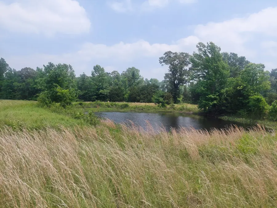 TBD Fm-195, Bagwell, TX 75412 - #2