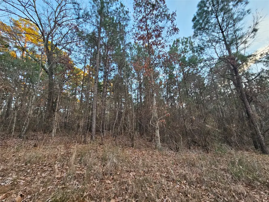 9557 Fm-726 S, Gilmer, TX 75645 - Image #3