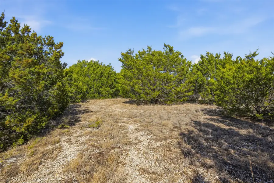 3123 Rio Grande, Cresson, TX 76035 - Image #3