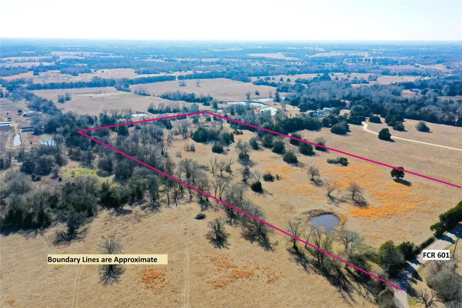 755 Fcr 601, Teague, TX 75860 - #3