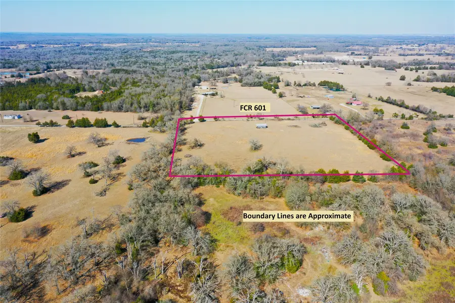 753 Fcr 601, Teague, TX 75860 - #3