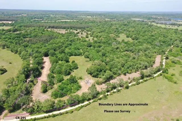 Tract 3 County Road 295, Oakwood, TX 75855 - #1