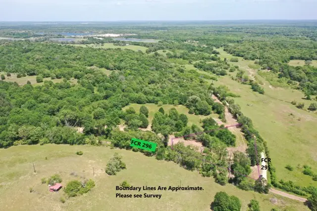 Tract 3 County Road 295, Oakwood, TX 75855 - #2