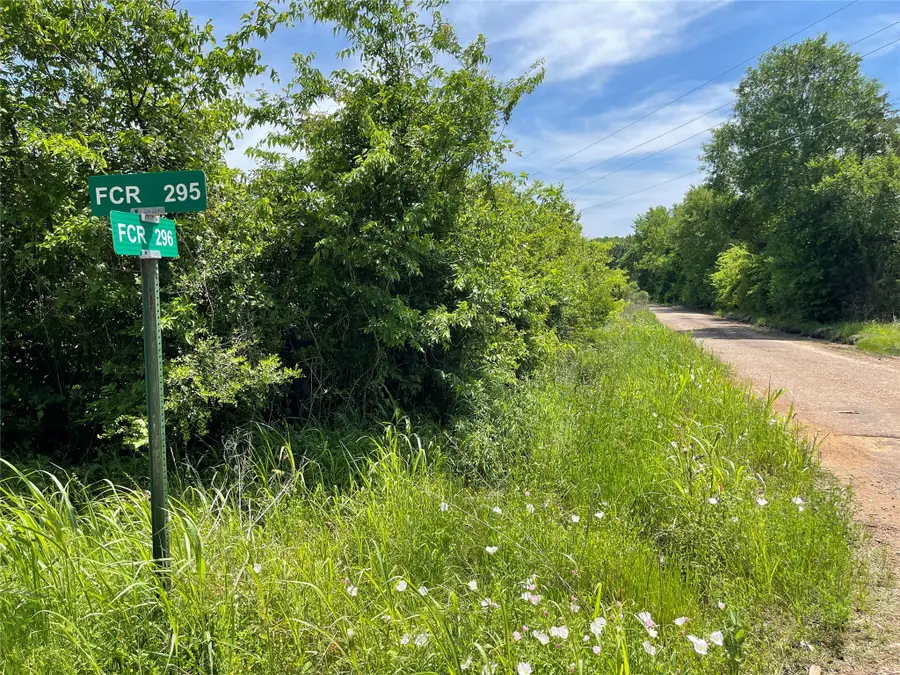 Tract 3 County Road 295, Oakwood, TX 75855 - #3