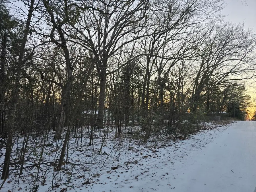 Lot 753 Doe Run Road, Gun Barrel City, TX 75156 - Image #2