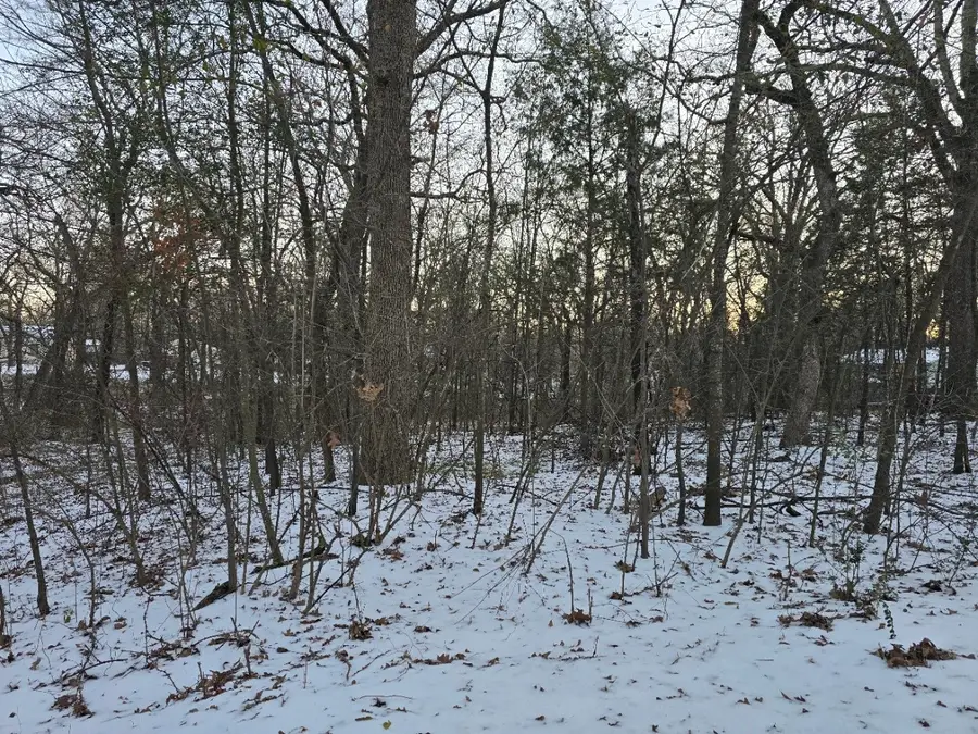 Lot 750 Doe Run Road, Gun Barrel City, TX 75156 - Image #2