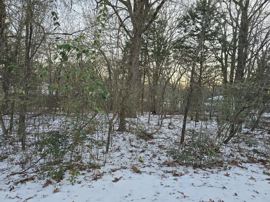 Lot 752 Doe Run Road, Gun Barrel City, TX 75156 - Image #3