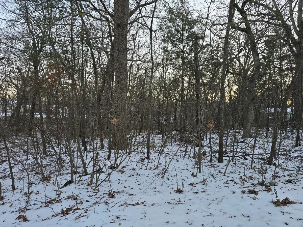 Lot 751 Doe Run Road, Gun Barrel City, TX 75156 - Image #1