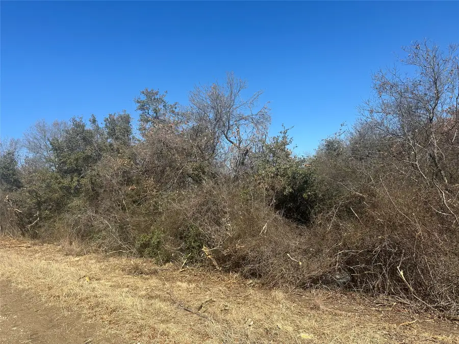 00 Goshen, Springtown, TX 76082 - Image #3