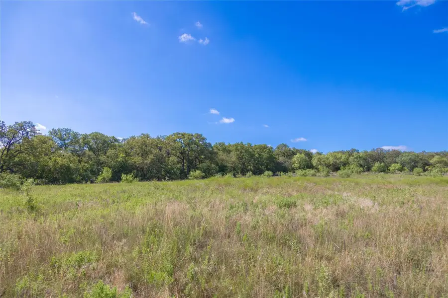 2029 Lot 6b Highway 183, Cisco, TX 76437 - #3
