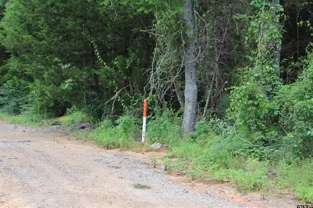 TBD Loop 456 - 14.73 Acres, Jacksonville, TX 75766 - #2
